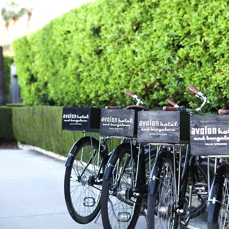 Avalon Hotel & Bungalows Palm Springs, A Member Of Design Hotels-3